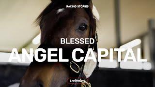 Angel Capital set to soar in Guineas