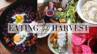 Garden Fresh Recipes from the Homestead and More Food Preservation!