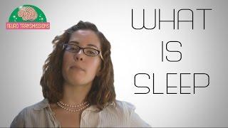 What Is Sleep?