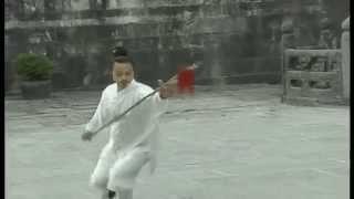 Master Zhong Xueyong performing Wudang