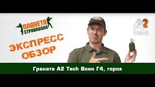 Обзор гранаты A2 Tech Воин Г4 с горохом