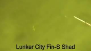 Силикон Lunker City Fin S Shad