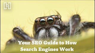 Your SEO Guide to How Search Engines Work