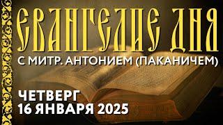 Толкование Евангелия с митр. Антонием (Паканичем). Четверг, 16 января 2025 года.