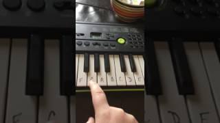 How to play the Casio Sa-46 for beginners.