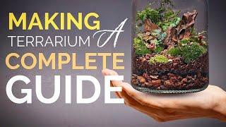 How to make a terrarium (A complete guide)