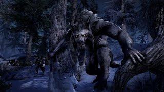 Lycanthropy/Werewolfism Character Guide to PvP in The Elder Scrolls Online