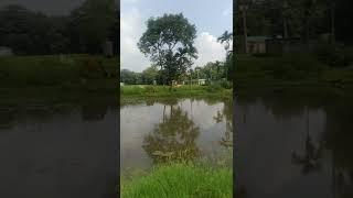 My  Village 2022 MH MAMUN VLOGS