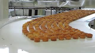 Автоматическая линия упаковки кексов MUFFIN PACKAGING LINE