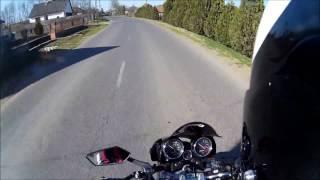 Bird vs Motorcycle# Animal Fail/#/Bandit250#Rooster#