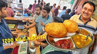 50/- Rs Punjabi Indian Street Food Nashta  Baldev 5 Star Poori, Chole Bhature, Bollywood Hotdogs