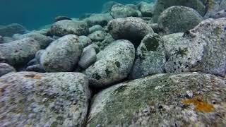 Apo Island, Philippines