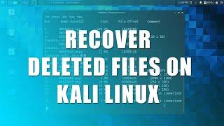 How to Recover Deleted Files in Kali Linux 2024.1?