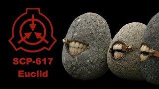 SCP-617: Pet Rocks