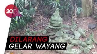 Mitos Dusun Cariu Ciamis: Gelar Wayang Kena Malapetaka!