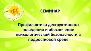 Профилактика деструктивного поведения в подростковой среде. Вебинар 11.11. 2020