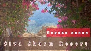 Свежий обзор SIVA SHARM RESOPT & SPA / Sharm El Sheikh  Egypt / reef / территория, питание, пляж