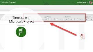 How to use the Timescale in MS Project