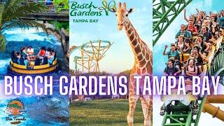 Busch Gardens Tampa Bay | The Best Theme Park in Florida? 