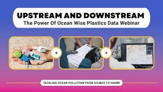 Upstream and Downstream: The Power of Ocean Wise Plastics Data