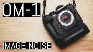 OM System OM-1 – Image Noise Expert Guide and In-Depth Knowledge