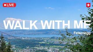 Relaxing Virtual Walk in a Swiss Forest ️ Zurich, Switzerland