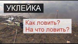 Уклейка ранней весной. Оснастка поплавочной удочки. Прикормка