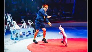 ERMAKOV - ACADÉMIE DES CHIENS. Cirque d'Hiver Bouglione  Paris 2024