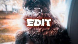 EDIT CAT | ТОПОВЫЙ ЭДИТ КОТ