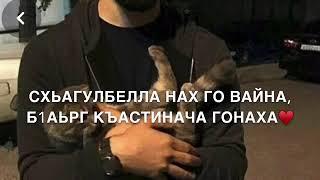 Дала декъал войла хьо