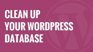 How to Clean Up Your WordPress Database for Improved Performance