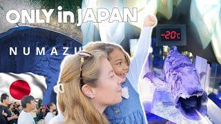  ONLY in JAPAN Weird Tourist Things | NUMAZU Deep Sea Aquarium