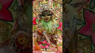 Radhe Radhe #krishna#radhakrishna#laddugopal#love#reels#views#shorts#youtubeshorts#motivation#song