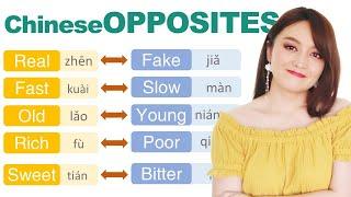 14 Common Chinese  OPPOSITE WORDS , Chinese lesson of antonyms