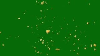 green screen leaf | autumn leaves green screen | tree leaves green screen |leaves green screen video