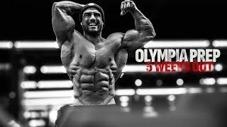 OLYMPIA PREP - TERRY 3.0 IS COMING!