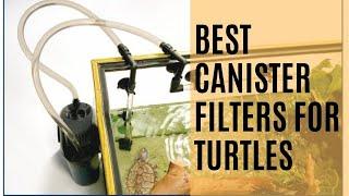 6 Best Filters For Turtle Tanks (2024 Update)