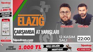 13 Kasım 2024 // Elazığ At Yarışı Tahminleri // Hakan Çakmak - Özgür Beşir