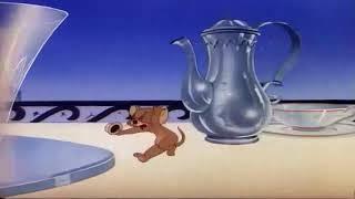 Tom and Jerry - Mouse In Manhattan - Part 3