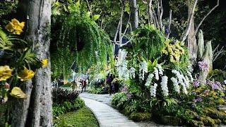 Charming Chiang Mai Flower Festival 2024 l Garden CNX