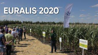 Компанія ENZIM Biotech представила свою продукцію на День поля EURALIS-2020