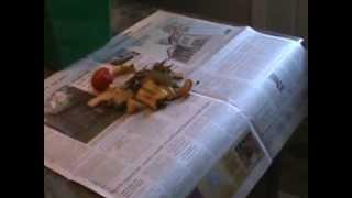 Wrap Food Scraps in Newspaper