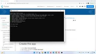 Установка Flutter на Windows