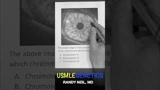 USMLE GENETICS Less than 1 minute #usmlestep #usmle #medicalschooljourney #usmlejourney