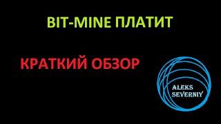 Bitmine краткий обзор (хайп)