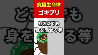 【大先輩】 究極の生命体ゴキブリ#shorts