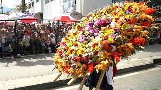 Perennial Colombian flower festival blooming for 60th year