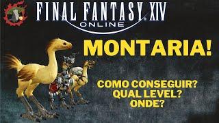 MONTARIA FFXIV: COMO CONSEGUIR? [PT-BR - 2021]