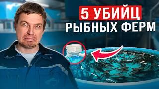 СРОЧНО посмотри, пока рыба не умерла / Как создать стабильный доход на разведении рыбы в 2025?