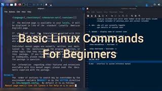 Basic Linux Commands for Beginners